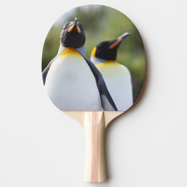 Raquette De Ping Pong Pingouins (Devant)