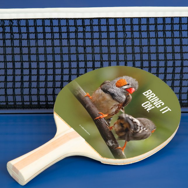Raquette De Ping Pong Pinsons zèbres effrontés sur une branche chanteuse (Insitu)