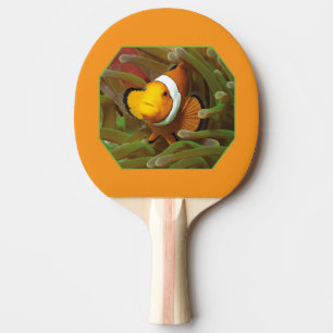 Raquette De Ping Pong Poisson clown dans l'anémone verte. Conception pho