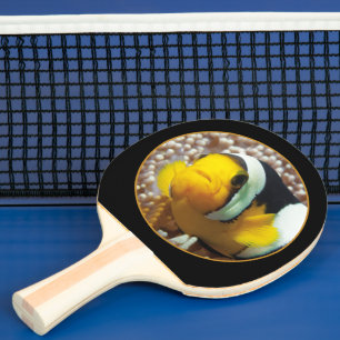 Raquette De Ping Pong Poisson-clown - Gros plan ! Design photographique 