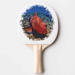 Raquette De Ping Pong Poisson De Groupement Sur Coral Golf Balls Golf Ba