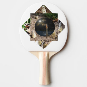 Raquette De Ping Pong Polyscope de suricate, 
