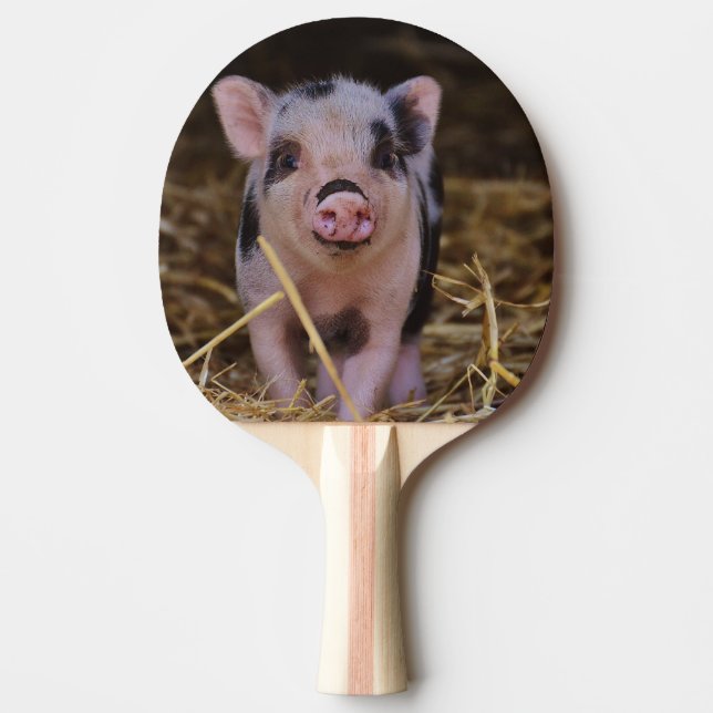 Raquette De Ping Pong Porc mignon doux (Devant)