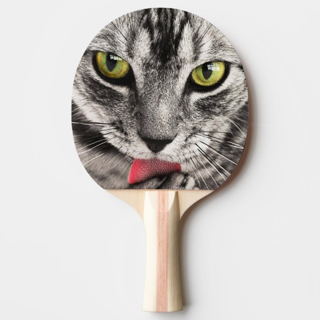 Raquette De Ping Pong Portrait de chat mignon (Devant)