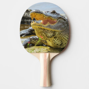 Raquette De Ping Pong Portrait de l'alligator. Alligator de Floride