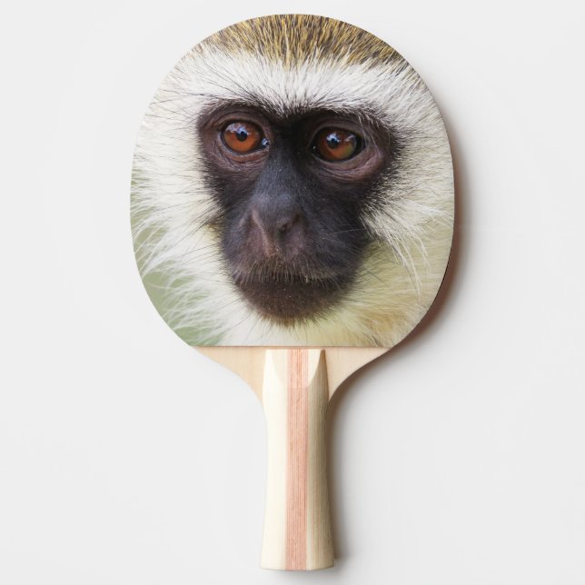 Raquette De Ping Pong Portrait mignon de singe (Devant)