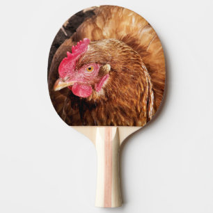 RAQUETTE DE PING PONG POULET CUIT
