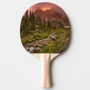 Raquette De Ping Pong Prés enchantés