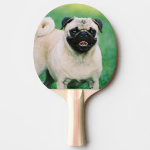 Raquette De Ping Pong pug-30.jpg