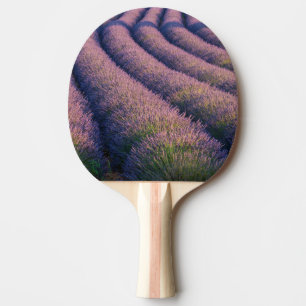 Raquette De Ping Pong Rangs de lavande en Provence