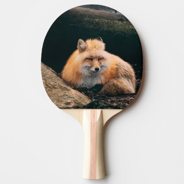 Raquette De Ping Pong Red Fox dormant (Devant)