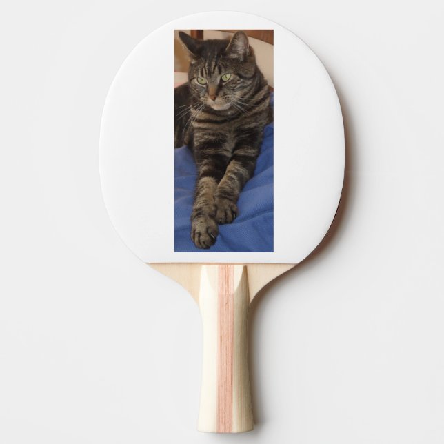 Raquette De Ping Pong Regal Dave Black Ping Ping Paddle (Devant)