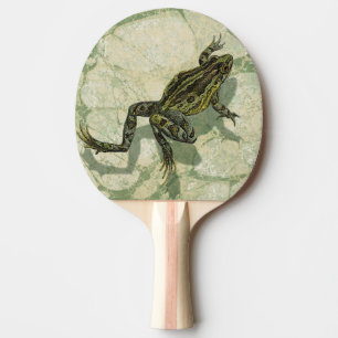 Raquette De Ping Pong Remonter le crapaud dans l'eau