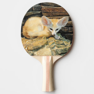 Raquette De Ping Pong Renard mignon de fennec