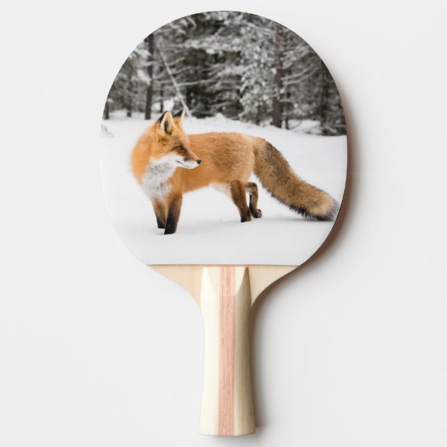 Raquette De Ping Pong Renard rouge en neige blanche (Devant)