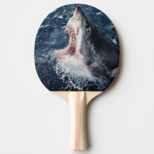 Raquette De Ping Pong Requin élevé bouche ouverte