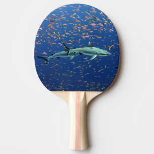 Raquette De Ping Pong Requins de la côte Pacifique