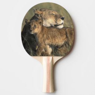Raquette De Ping Pong Réservation de jeu du Kenya, Mara de masai, lionn