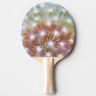 Raquette De Ping Pong Résumé de tête de graine de pissenlit
