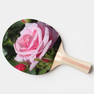 Raquette De Ping Pong rose rose parfaite rose et boutons. amour, amitié