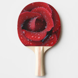 Raquette De Ping Pong Rose rouge couverte de rosée décorant un lieu de s