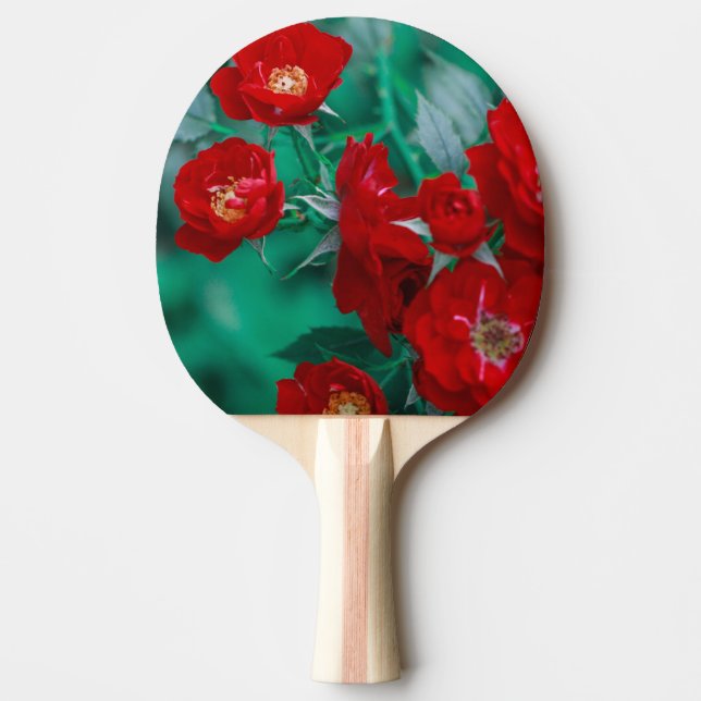 Raquette De Ping Pong Roses rouges Pale Green Feuilles (Devant)