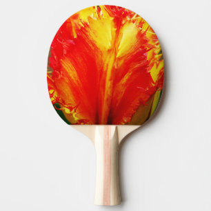 Raquette De Ping Pong Rouges Et Jaunes Grosse Tulipe À Courbe
