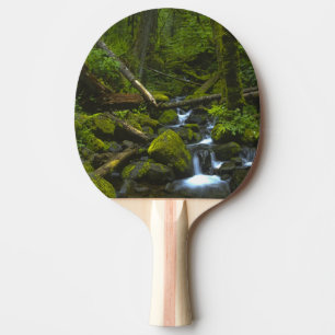 Raquette De Ping Pong Ruisseau de la forêt pluviale tempérée dans la riv