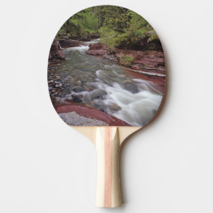 Raquette De Ping Pong Ruisseau Lost Horse dans le parc national des lacs