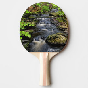 Raquette De Ping Pong Ruisseau traverse la forêt