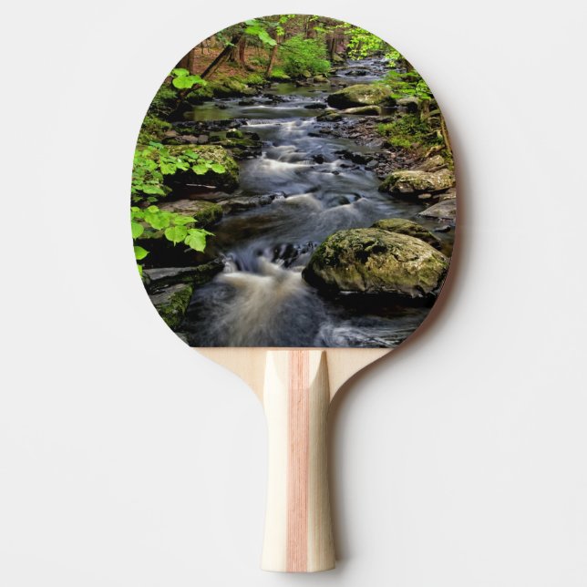 Raquette De Ping Pong Ruisseau traverse la forêt (Devant)