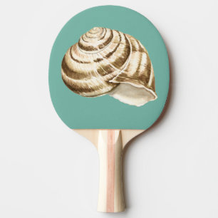 Raquette De Ping Pong Sépia Shell rayé sur Teal