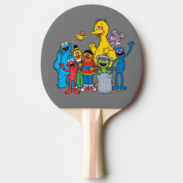 Raquette De Ping Pong Sesame Street Pals Wing (Devant)