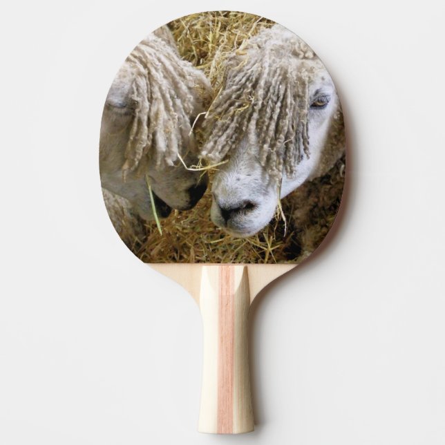 RAQUETTE DE PING PONG SHEEP (Devant)