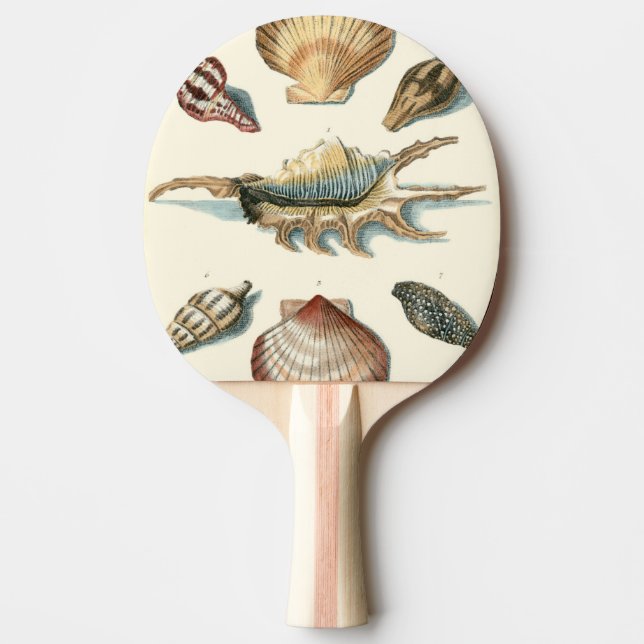 Raquette De Ping Pong Shell de fantaisie échouent (Devant)