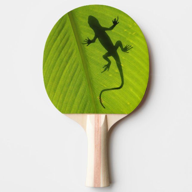 Raquette De Ping Pong Silhouette de Gecko (Devant)