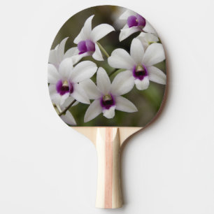 Raquette De Ping Pong Singapour (sanscrit pour Ville du Lion). National