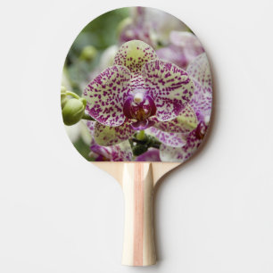 Raquette De Ping Pong Singapour (Sanskrit pour Lion City). National