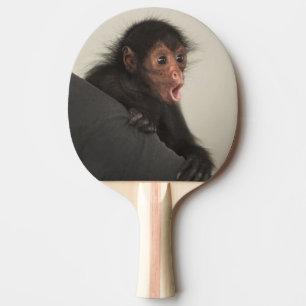 Raquette De Ping Pong Singe araignée à face rouge Ateles paniscus)