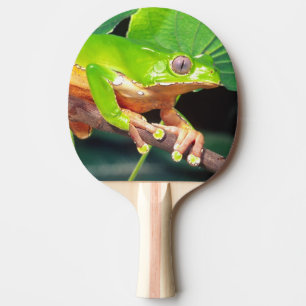 Raquette De Ping Pong Singe bicolore géant Treefrog, Phyllomedusa