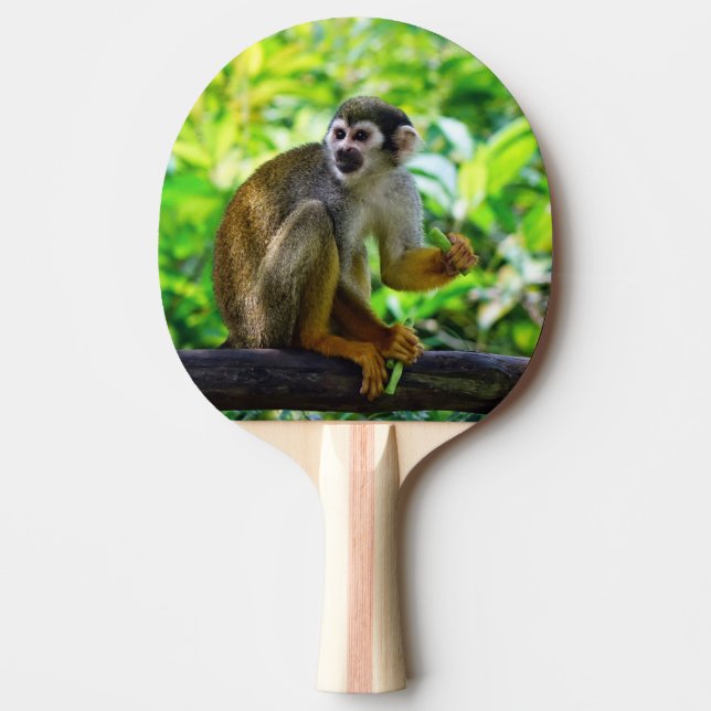 Raquette De Ping Pong Singe-écureuil mignon (Devant)