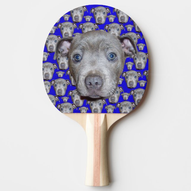 Raquette De Ping Pong Staffordshire Terrier Puppy (Devant)