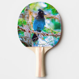Raquette De Ping Pong Steller's Jay - Photographie originale