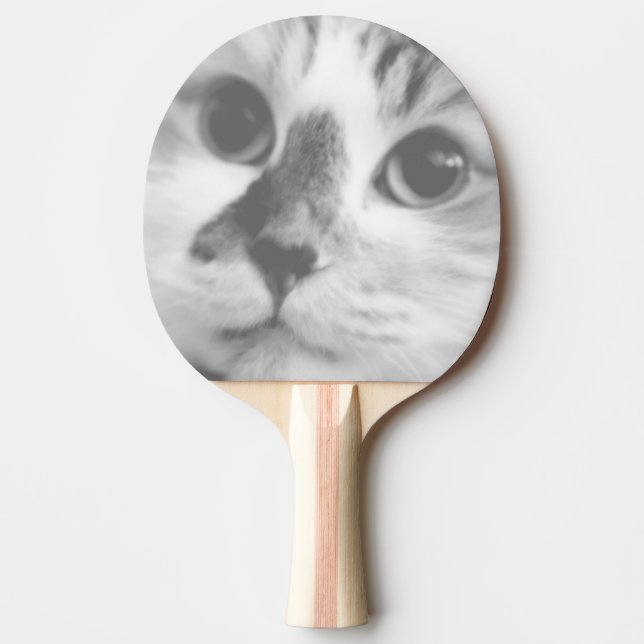 Raquette De Ping Pong SUPER CUTE Kitten Cat Portrait (Devant)