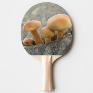 Raquette De Ping Pong Tabourets sur un arbre Trunk Ping Pong Paddle