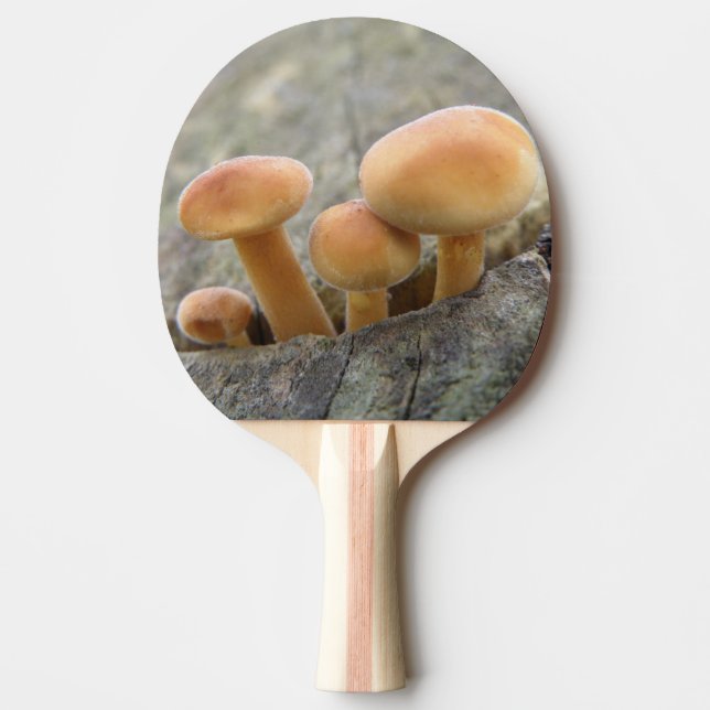 Raquette De Ping Pong Tabourets sur un arbre Trunk Ping Pong Paddle (Devant)