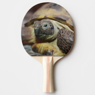 Raquette De Ping Pong Tibbs
