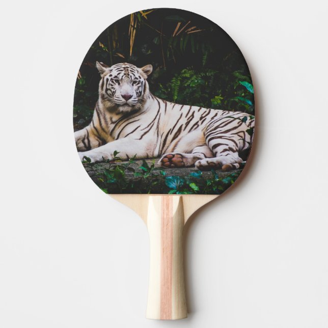 Raquette De Ping Pong Tigre (Devant)