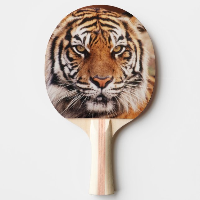 Raquette De Ping Pong Tigre de Sumatra (Devant)