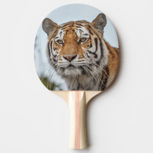 Raquette De Ping Pong Tigres de Sibérie en pleine nature